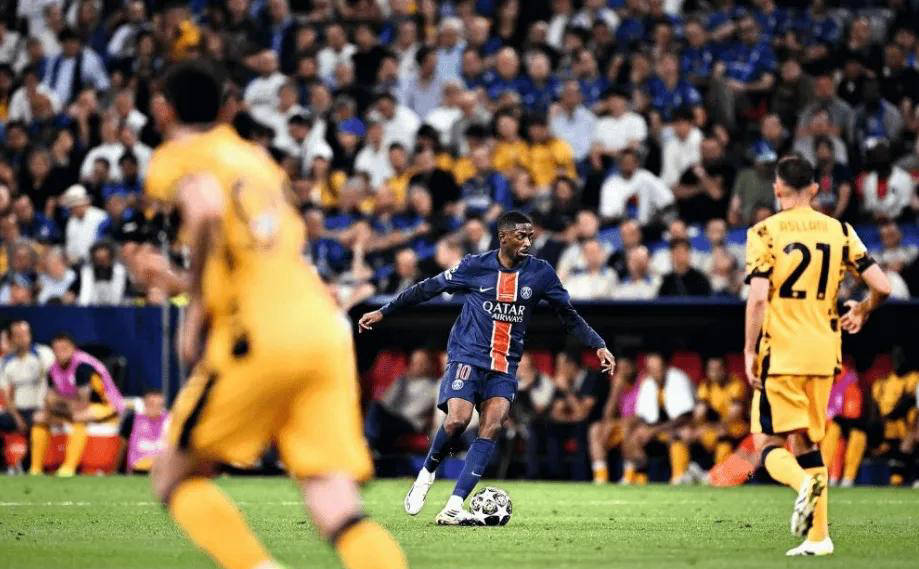 好者和专业 好者和专业