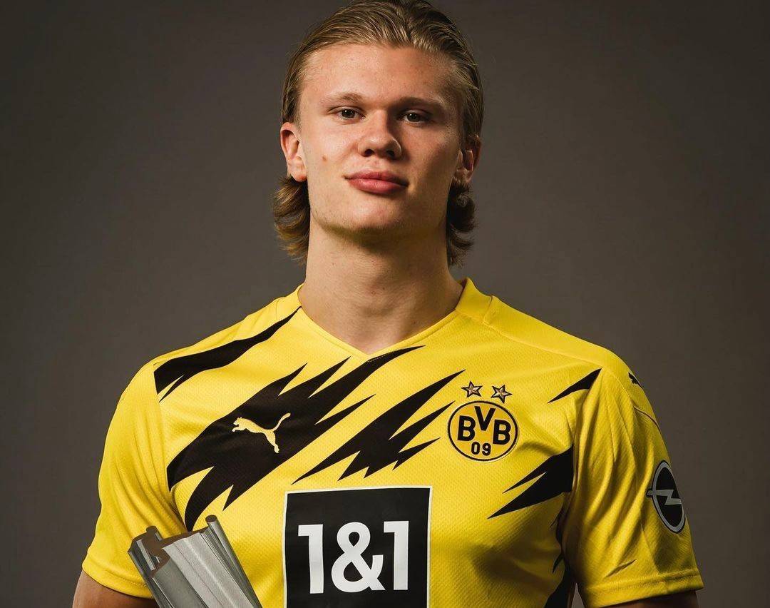 组织耗掉对 组织耗掉对